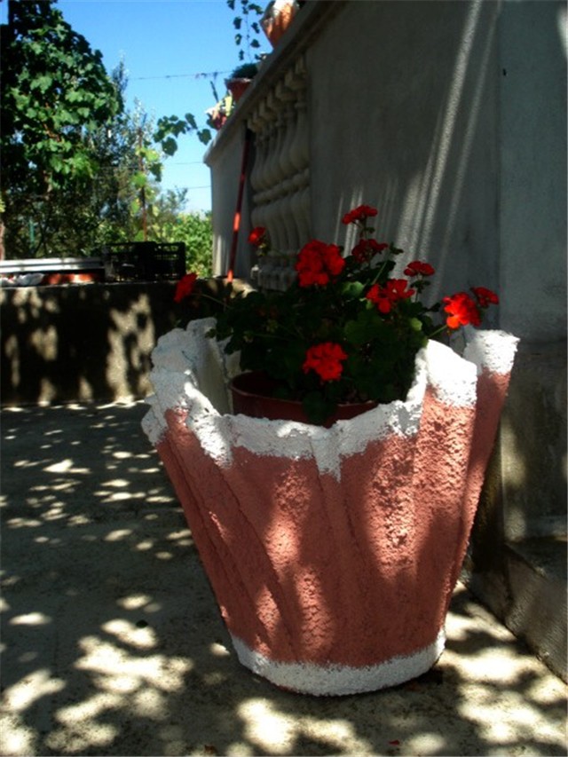 moji pitari